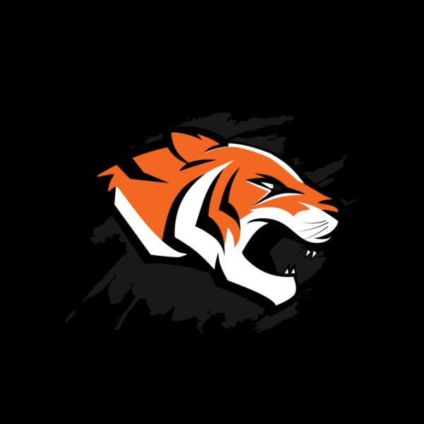 TIGERS BB 2 Thumbnail