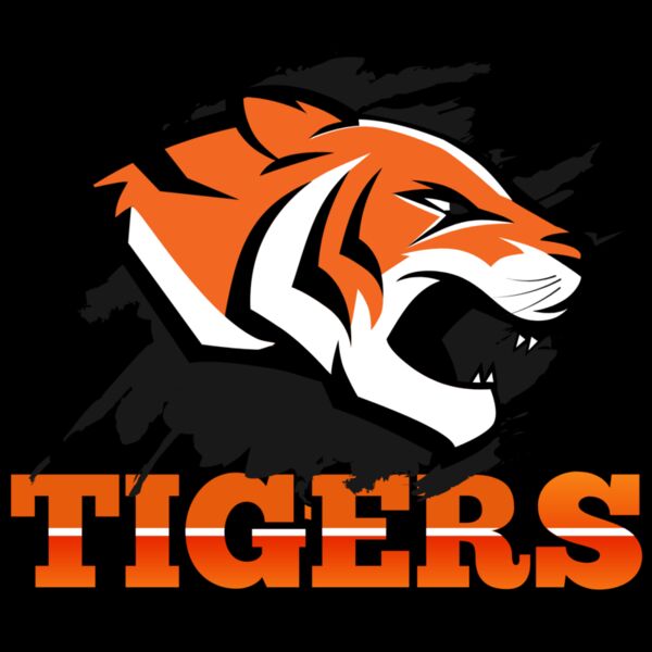 TIGERS BB Thumbnail