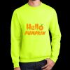 Essential Fleece Crewneck Sweatshirt Thumbnail