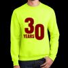 Essential Fleece Crewneck Sweatshirt Thumbnail