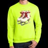 Essential Fleece Crewneck Sweatshirt Thumbnail