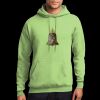 Core Fleece Pullover Hooded Sweatshirt Thumbnail